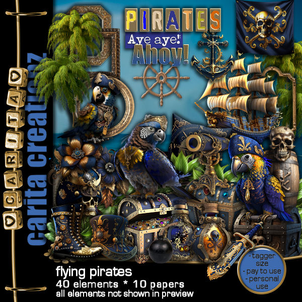 NEW Exclusive CC Flying Pirate