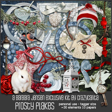 CC Scrap Kit Frosty Flakes