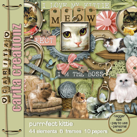 CC Scrap Kit Purrr-fect Kittie