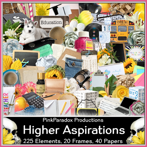 Pink Paradox Higher Aspirations Scrap Kit