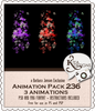 Kiya Designs Animation 236