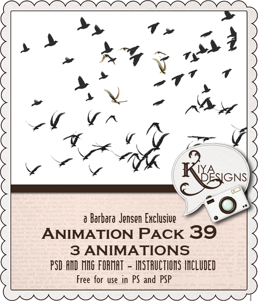 Kiya Designs Animation 39