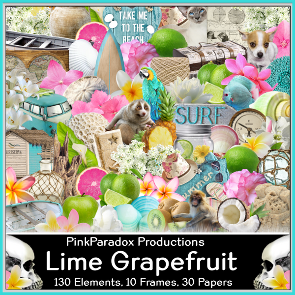 Pink Paradox Lime Grapefruit Scrap Kit